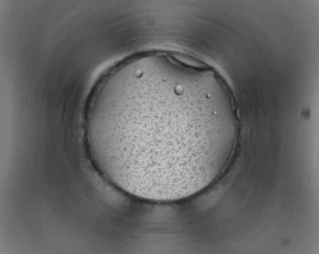 X0000092010979200709271525