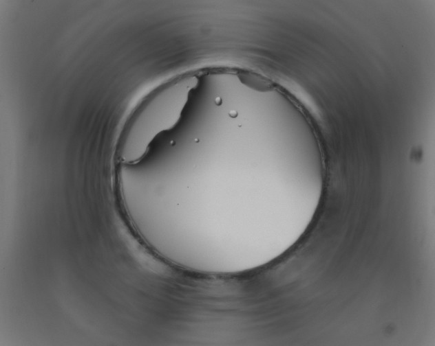 X0000092010980200709271525