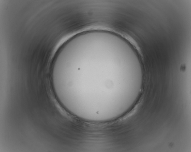 X0000092010981200709271525