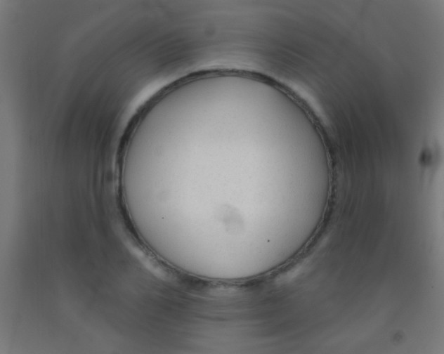 X0000092010982200709271525