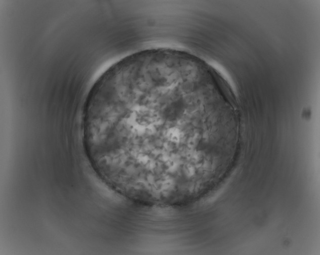 X0000092010983200709271525