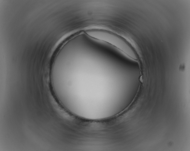 X0000092010984200709271525