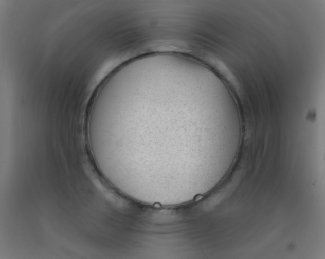 X0000092010986200709271525