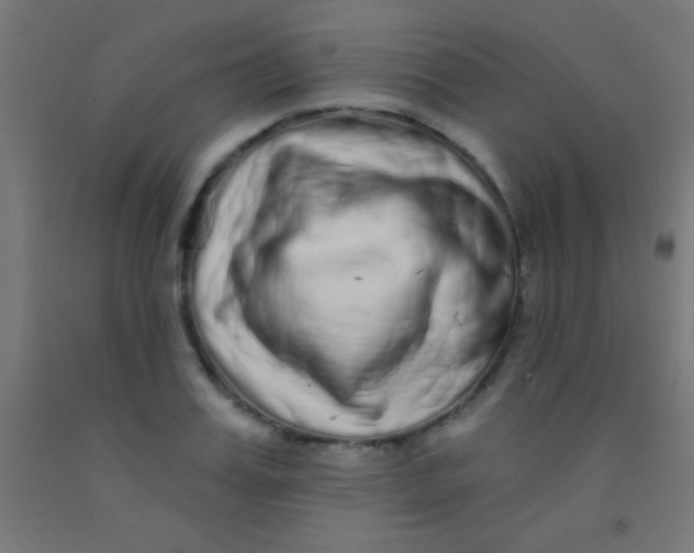 X0000092010987200709271525