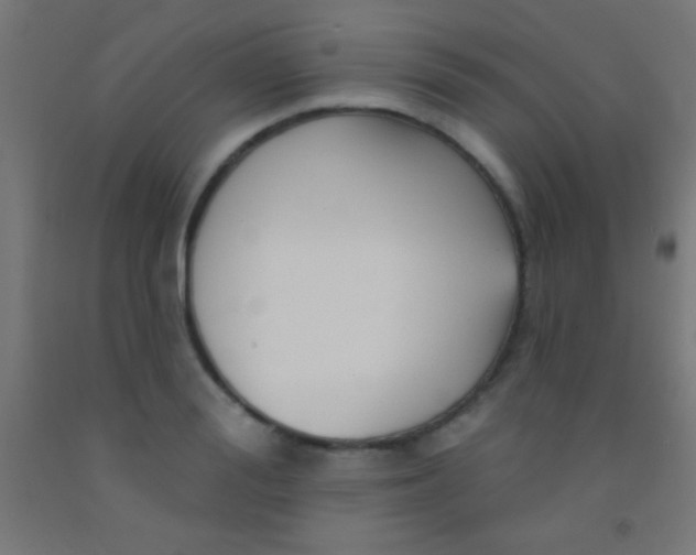 X0000092010988200709271525