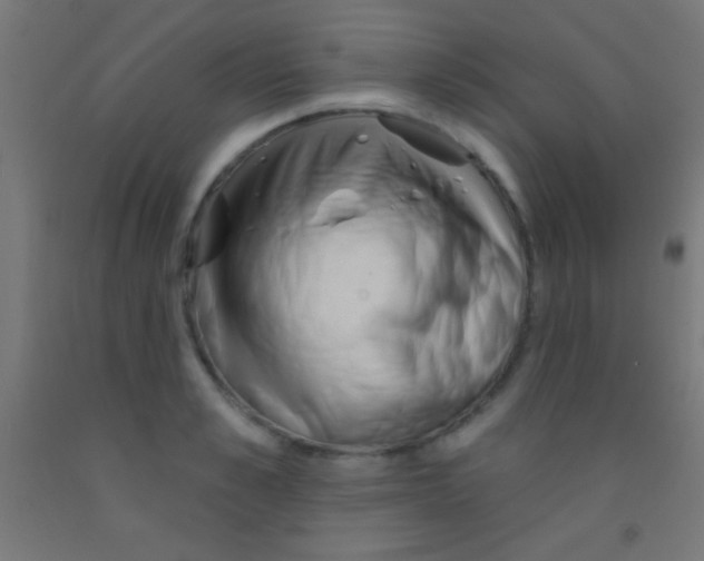 X0000092010989200709271525