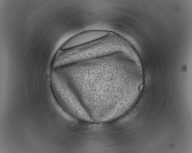 X0000092010990200709271525