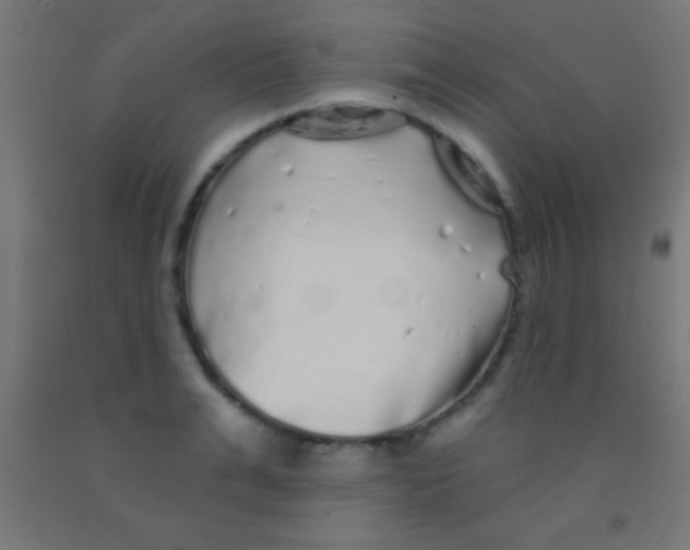 X0000092010991200709271525