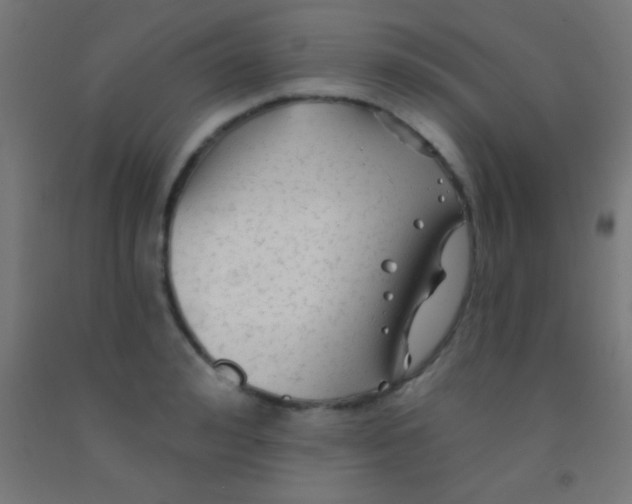 X0000092010992200709271525