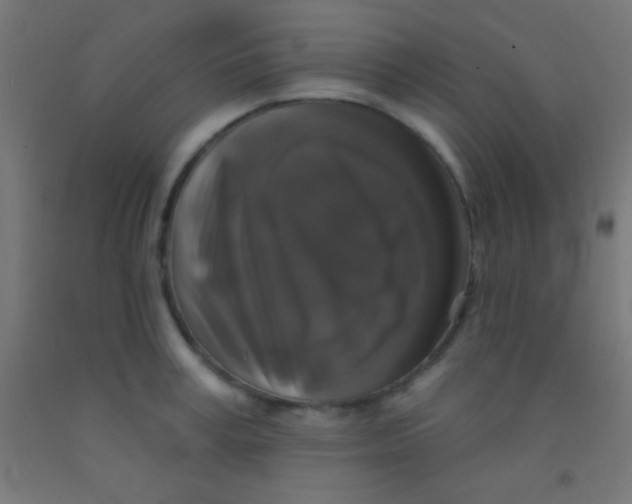 X0000092010995200709271525