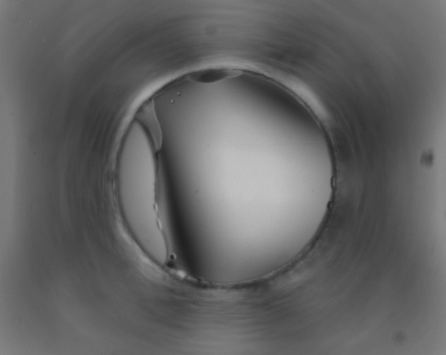 X0000092010996200709271525