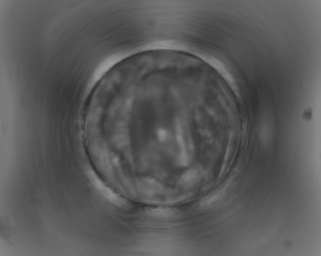 X0000092010998200709271525