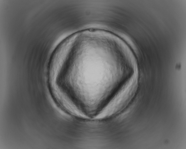 X0000092010999200709271525