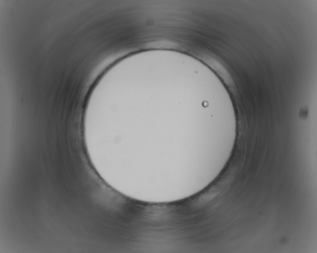 X0000092011000200709271525