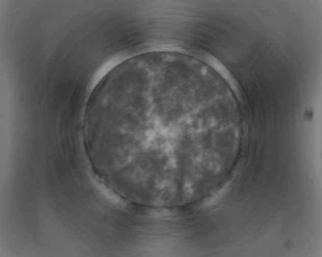 X0000092011002200709271525