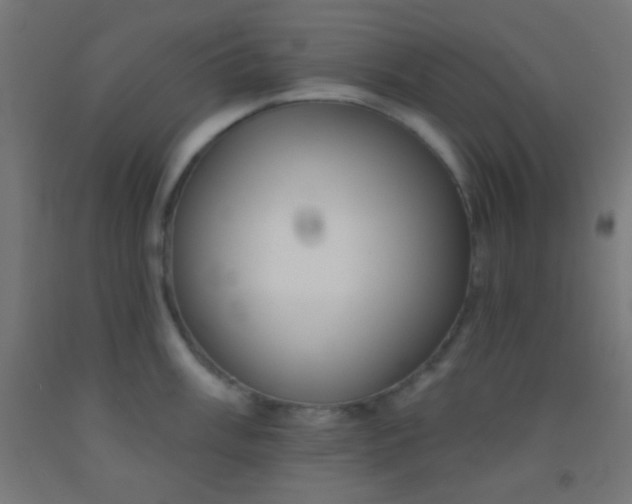 X0000092011003200709271525