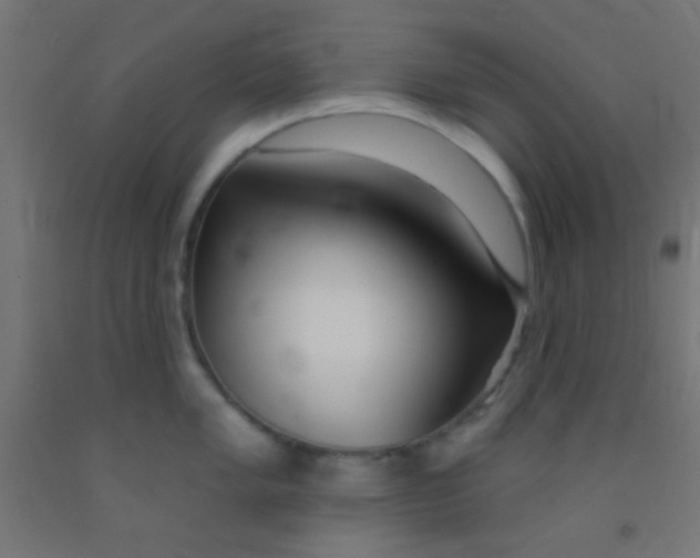 X0000092011005200709271525