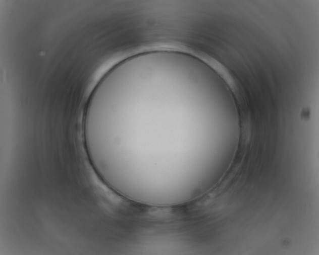 X0000092011006200709271525