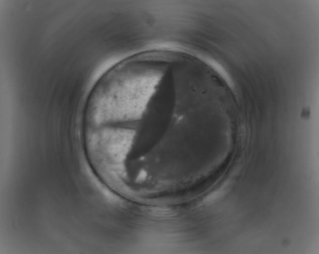 X0000092011007200709271525