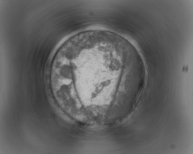 X0000092011008200709271525