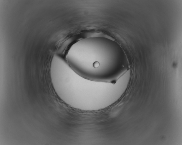 X0000092011010200709271524