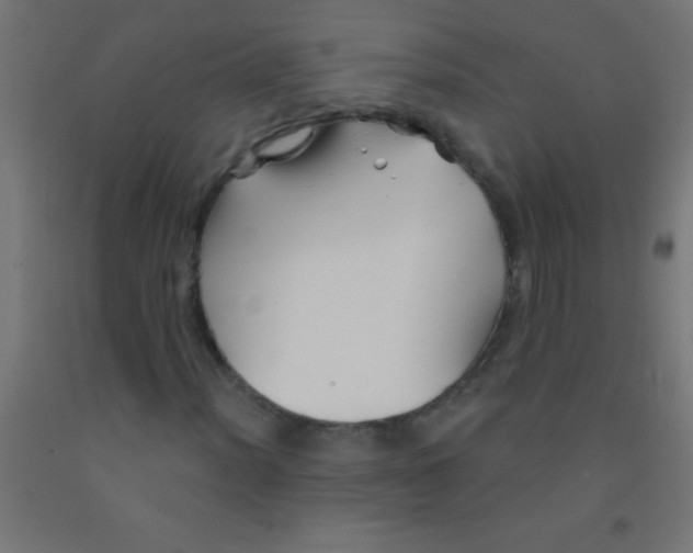 X0000092011012200709271524