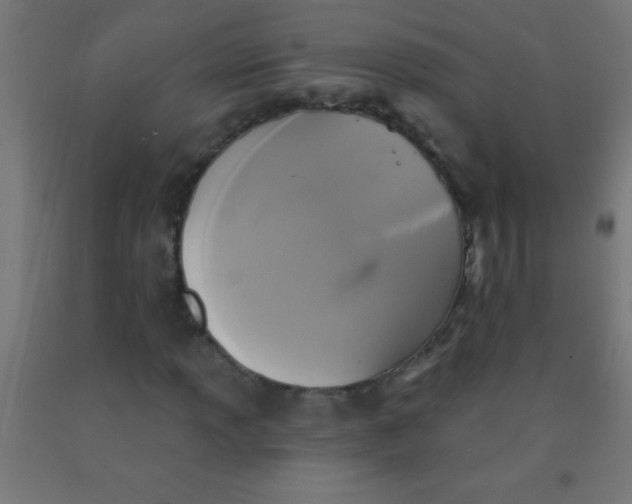 X0000092011013200709271524