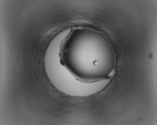 X0000092011014200709271524