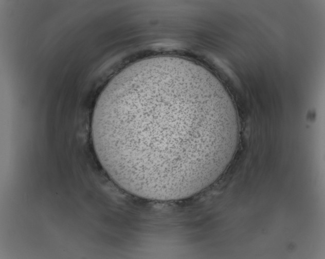 X0000092011015200709271524