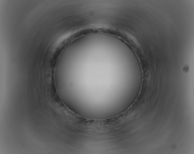 X0000092011016200709271524