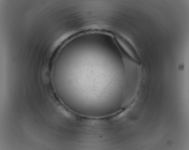 X0000092011018200709271524