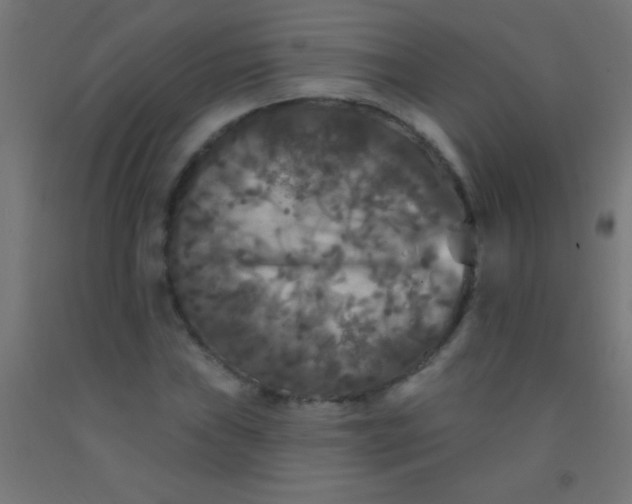 X0000092011019200709271524