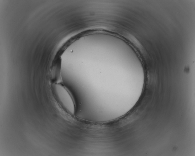 X0000092011020200709271524