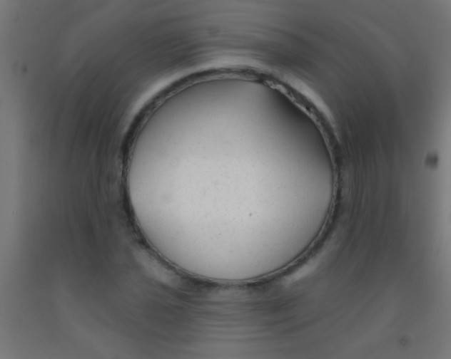 X0000092011021200709271524