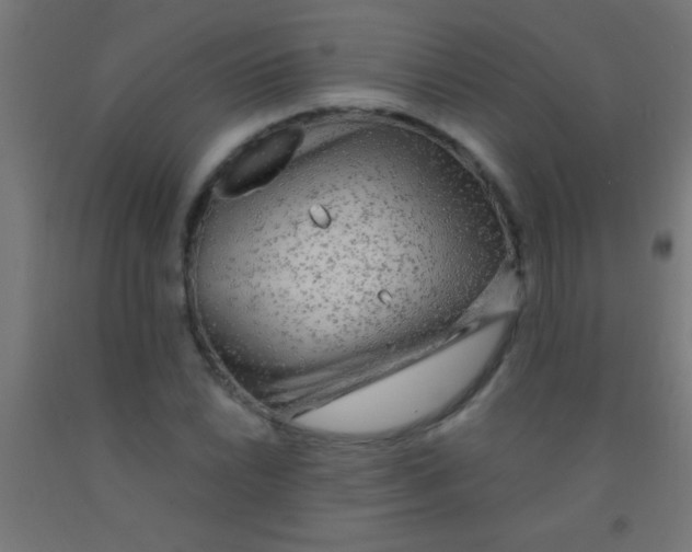 X0000092011022200709271524