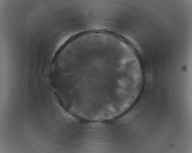 X0000092011023200709271524