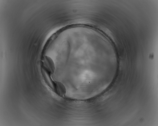 X0000092011024200709271524