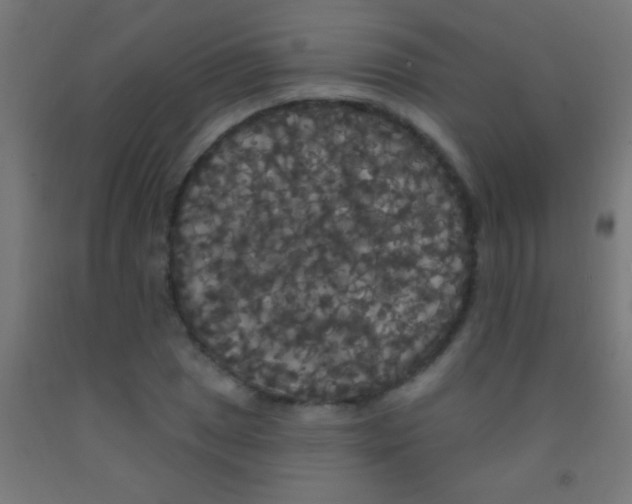 X0000092011025200709271524