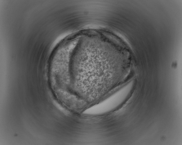 X0000092011026200709271524