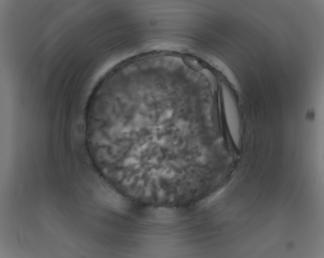 X0000092011027200709271524