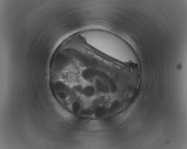 X0000092011028200709271524