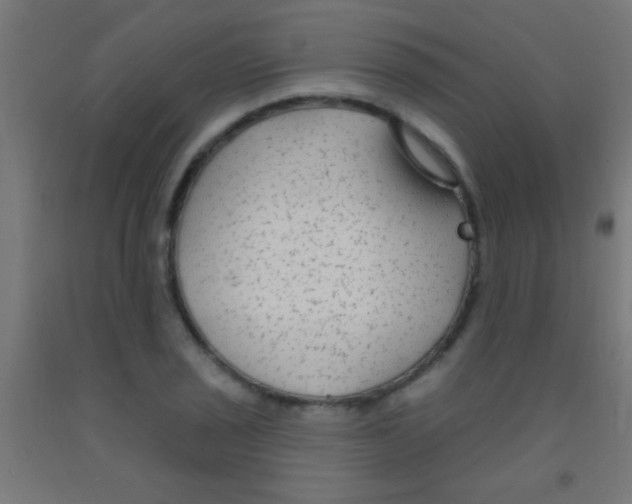 X0000092011029200709271524