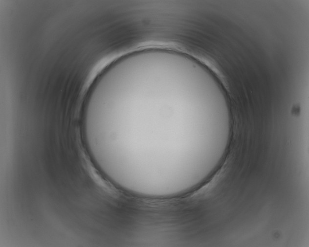 X0000092011030200709271524