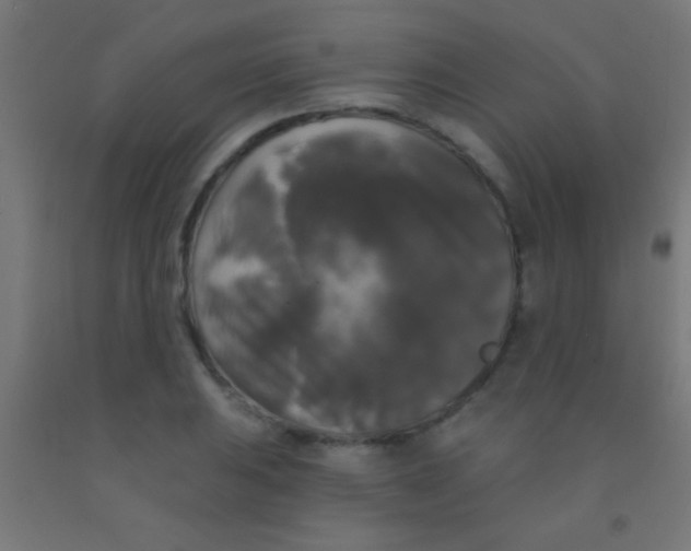 X0000092011031200709271524