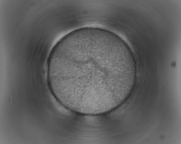 X0000092011032200709271524