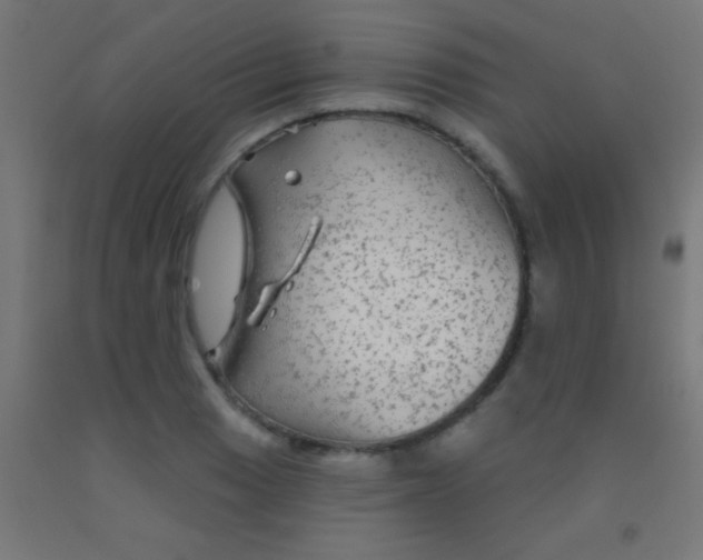 X0000092011033200709271525