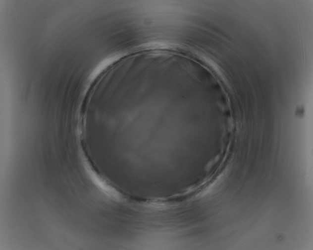 X0000092011034200709271525