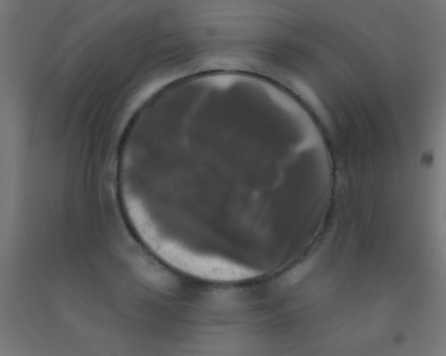 X0000092011035200709271525