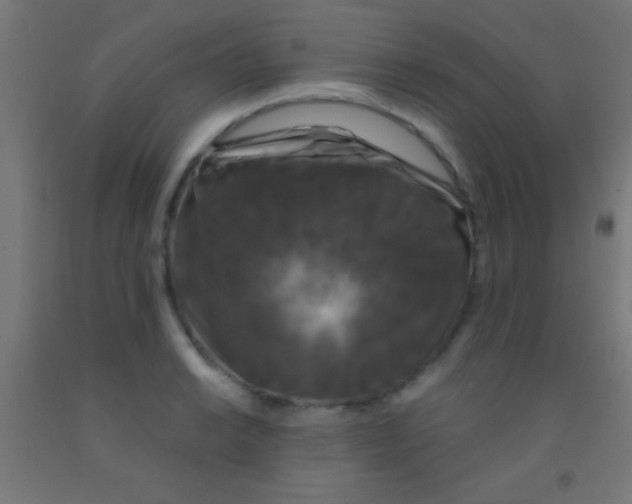 X0000092011038200709271525