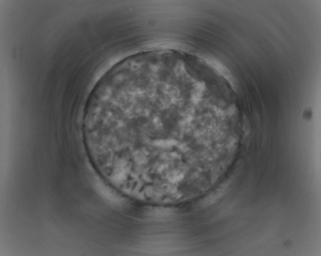 X0000092011039200709271525